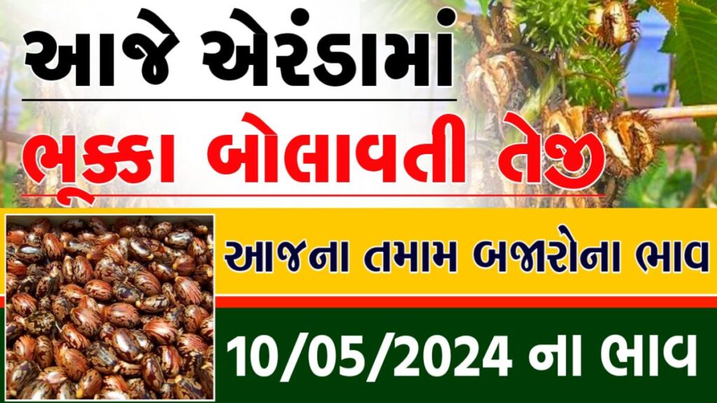 એરંડાનો ભાવ