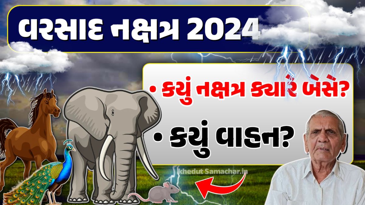 વરસાદ નક્ષત્ર 2024