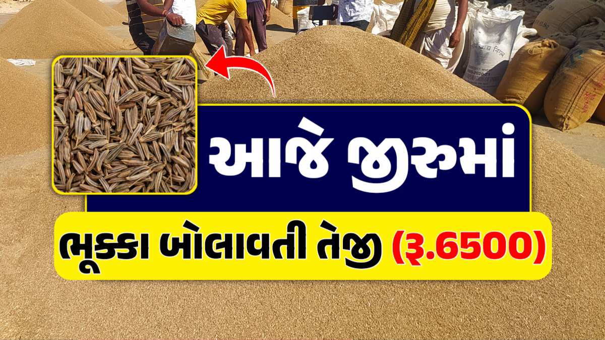 જીરુંં વાયદો