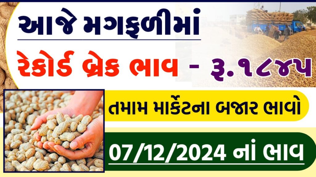 મગફળી ના ભાવ 2024