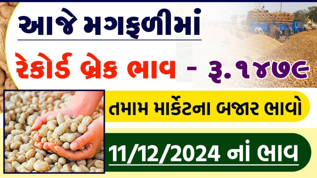 મગફળી ના ભાવ 2024