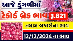 today onion price