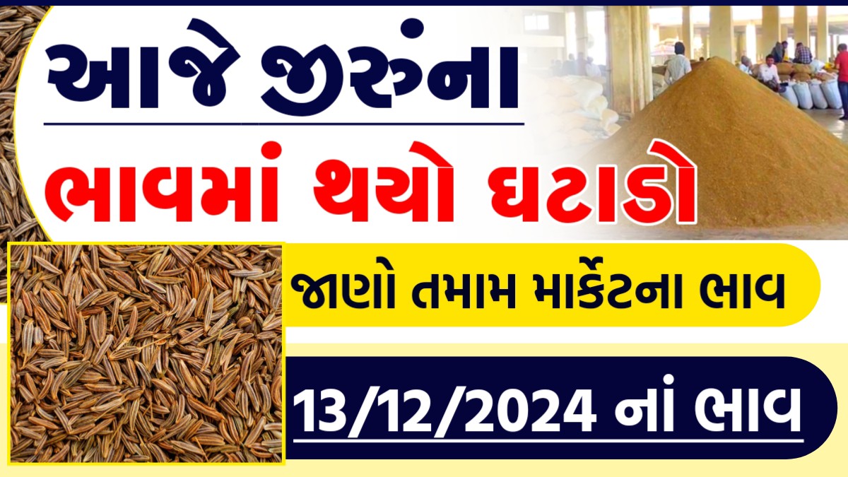 જીરું ના ભાવ આજના