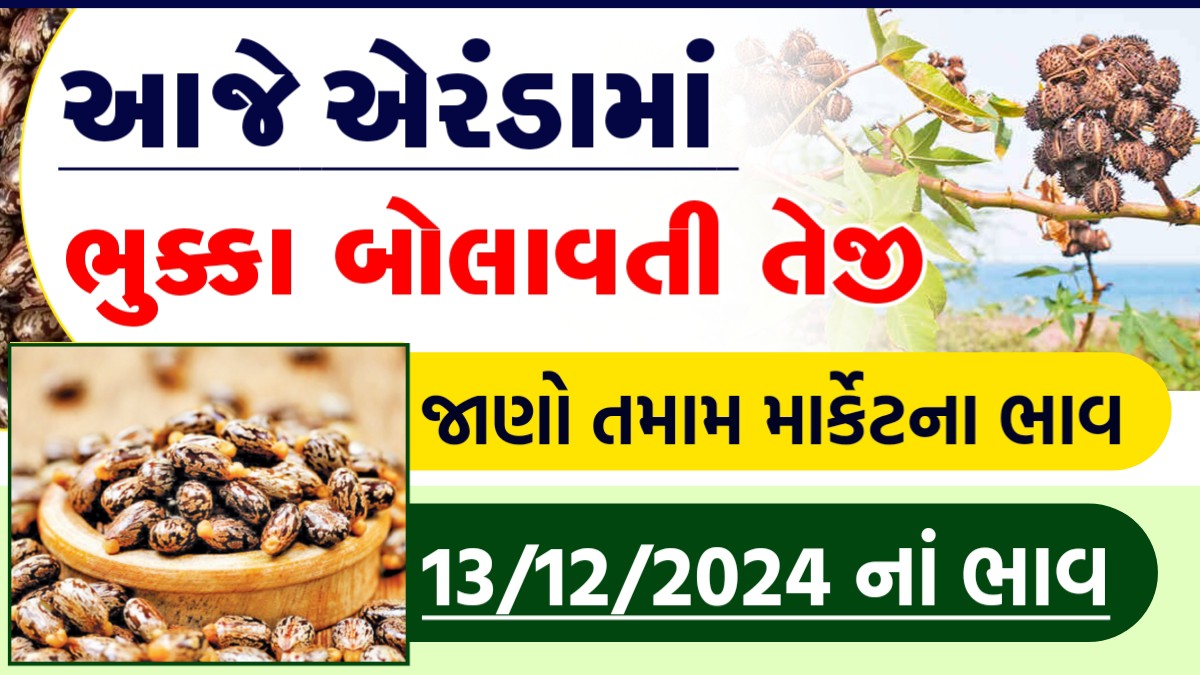 એરંડાના બજાર ભાવ