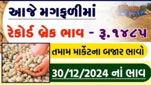 મગફળી ના આજના ભાવ