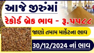 jiru price in gujarat