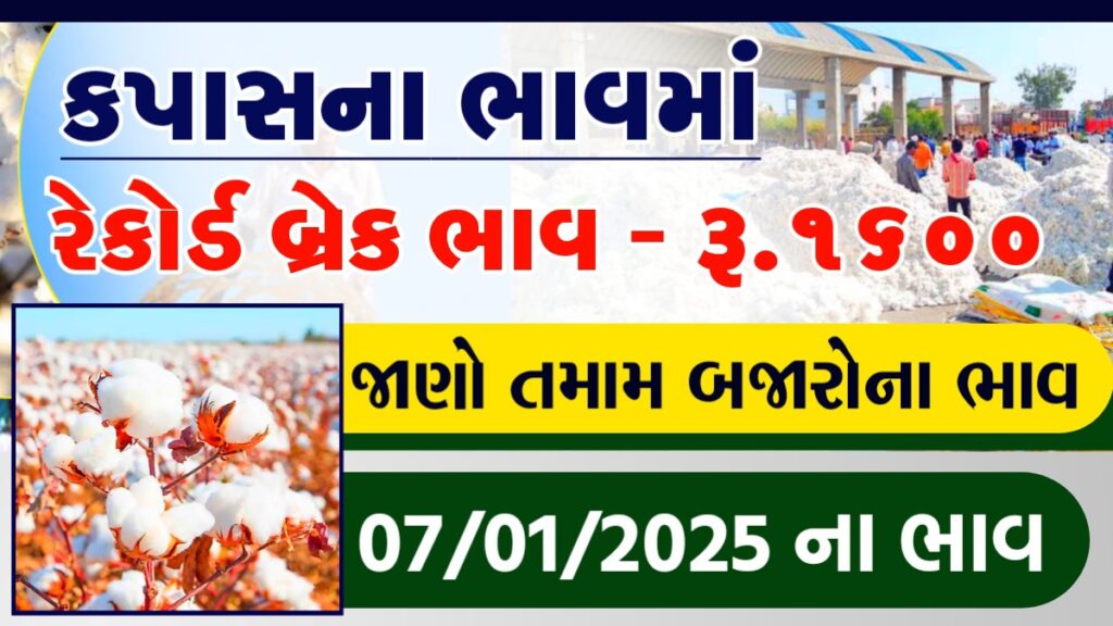 cotton price in rajkot