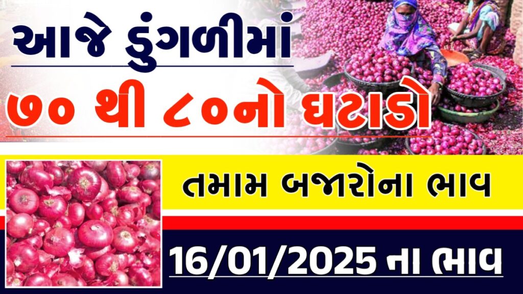 onion price rajkot