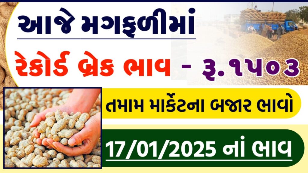 peanut price in gujarat