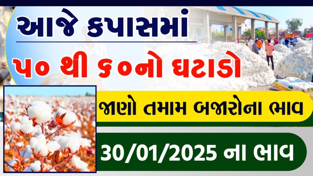 rajkot cotton price today