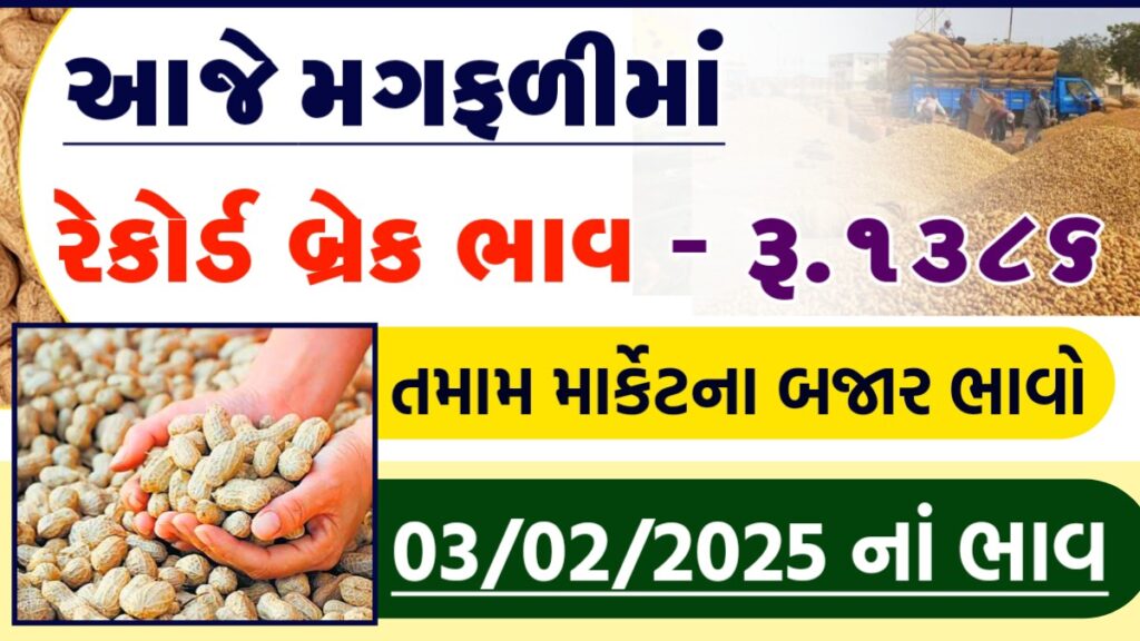 મગફળી ના ભાવ 2025