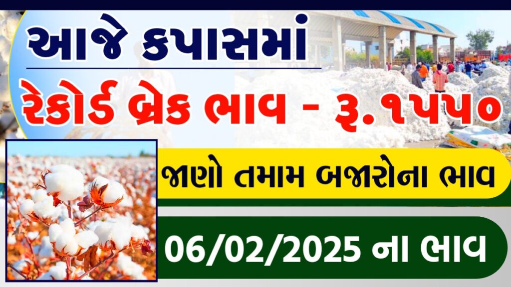 કપસ ના ભાવ 2025