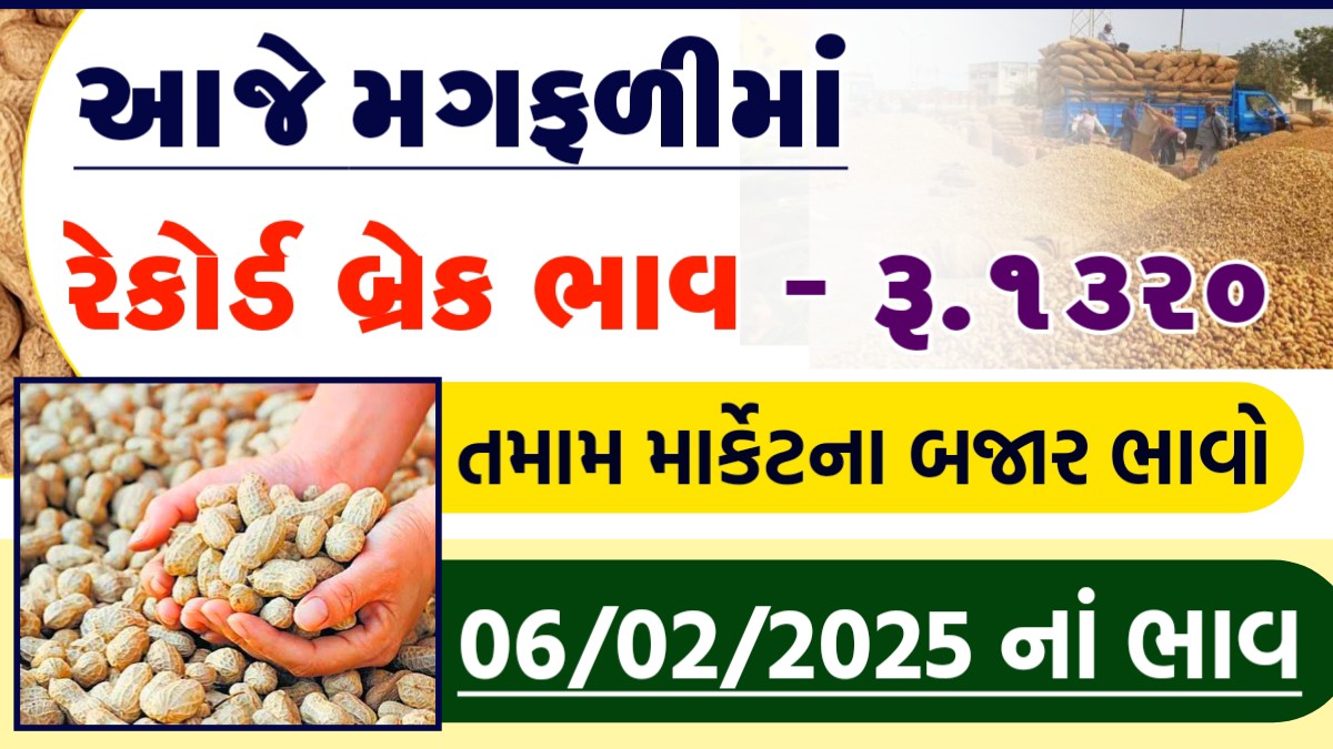 મગફળી ના ભાવ 2025