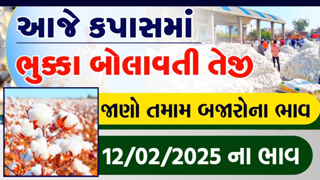 cotton rajkot market price