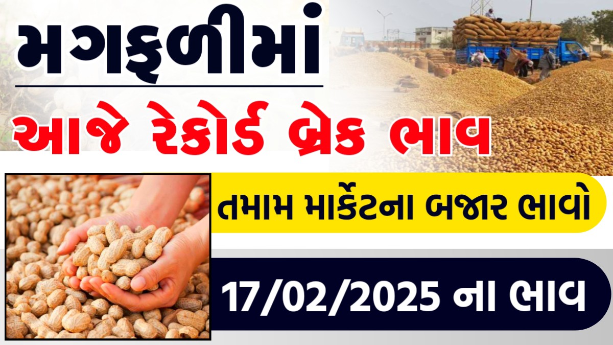 આજના મગફળીના ભાવ 2025