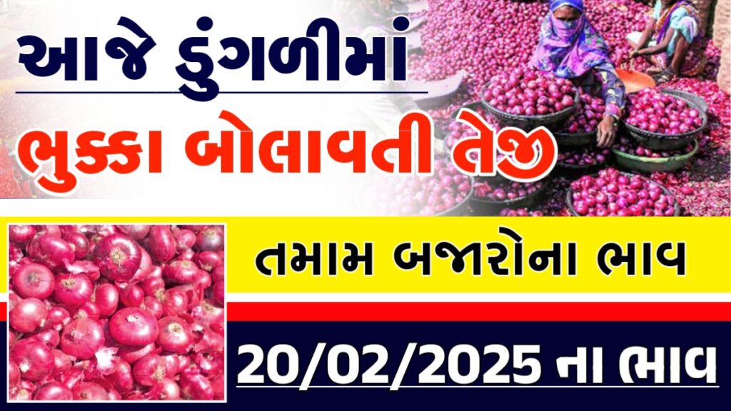 onion price today amreli